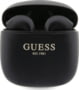 GUE002955 GUE002955 tootepilt