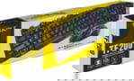 EX.36011 EX.36011 tootepilt
