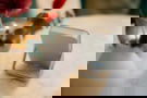 32264 Product image of 32264
