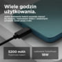 PB6L0033RO PB6L0033RO tootepilt