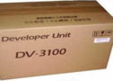 Product image of DV-3100
