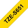 TZES651 tootepilt