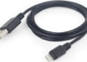 CC-USB2-AMLM-2M tootepilt