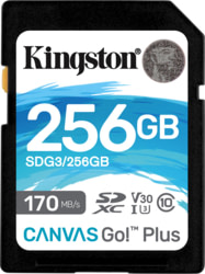 KIN SDG3/256GB tootepilt