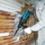 Product image of MAKITA HR2631FT13 3