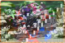Product image of SA5661-D1