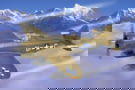Product image of 80283
