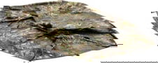 Product image of 