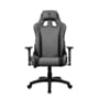Product image of AVANTI-SFB-ASH