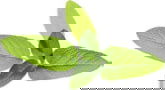 Product image of SGR7X3