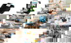 2202105 tootepilt