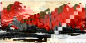 Product image of 