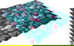Product image of XG-GP1-TROPICAL-L
