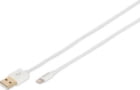 DB-600106-010-W tootepilt