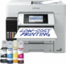 Product image of C11CJ28405