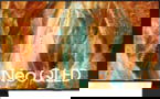 Product image of QE55QN70FAUXXH