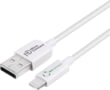 Product image of ECO-LIGHTNING1