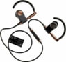 Product image of 1646002