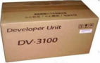 DV-3100 tootepilt