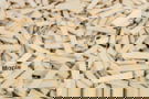 Product image of W600