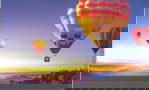 Product image of 81000231