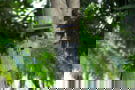Product image of 