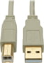 U022-006-BE tootepilt