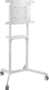 VLFS3770 tootepilt