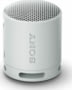Product image of SRSXB100H.CE7