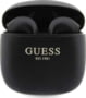 GUE002955 tootepilt
