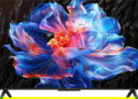 Product image of 55V6C