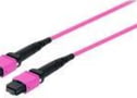 Product image of 25555317