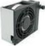 FAN-0082L4 tootepilt