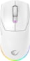 Product image of PROTEM5-WHITE