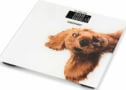 Product image of ZBS1010 Pies