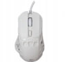 Product image of ECTOR-W