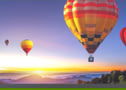 Product image of 81000231
