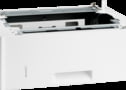 D9P29A tootepilt