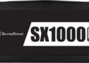 SST-SX1000-LPT V 1.1 tootepilt