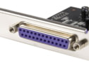 PEX1P2 tootepilt