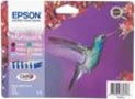 Product image of C13T08074011