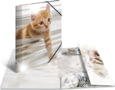 Product image of 19328