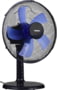 Product image of ZTF0300