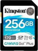 KIN SDG3/256GB tootepilt