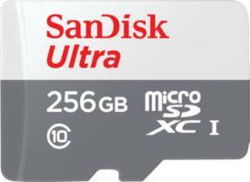 SanDisk SDSQUNR-256G-GN6TA tootepilt