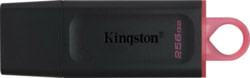 Product image of KIN DTX/256GB