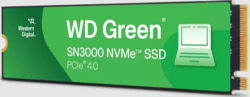 Western Digital WDS100T4G0E tootepilt