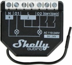 Shelly Shelly_W_2PM tootepilt
