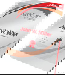 Esselte tootepilt
