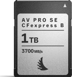 Product image of Angelbird Technologies AVP1T0CFXBSEMK2